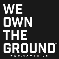 Havik  logo